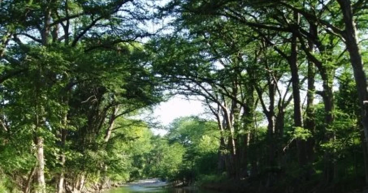 Medina River Trail
