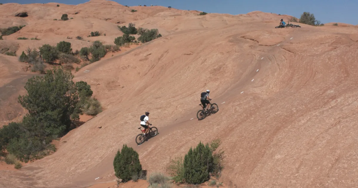 Mega Stout — Moab