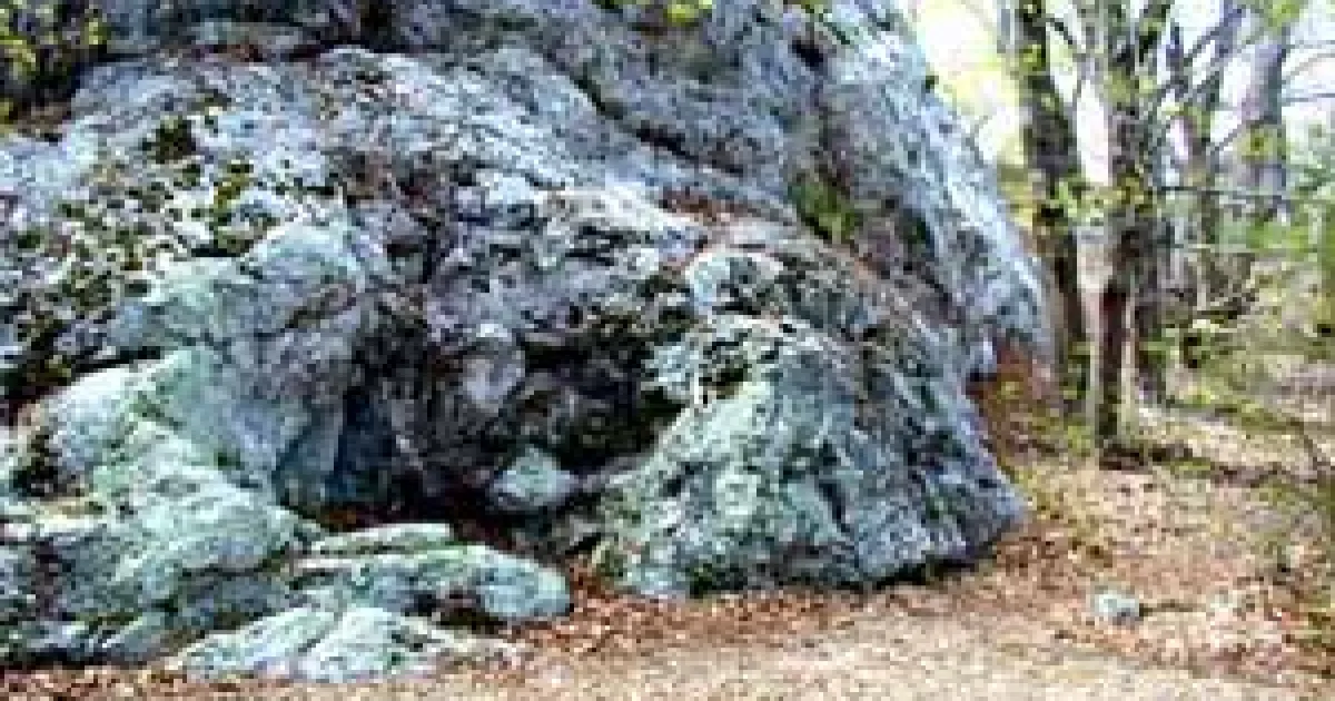 Metacomet Trail