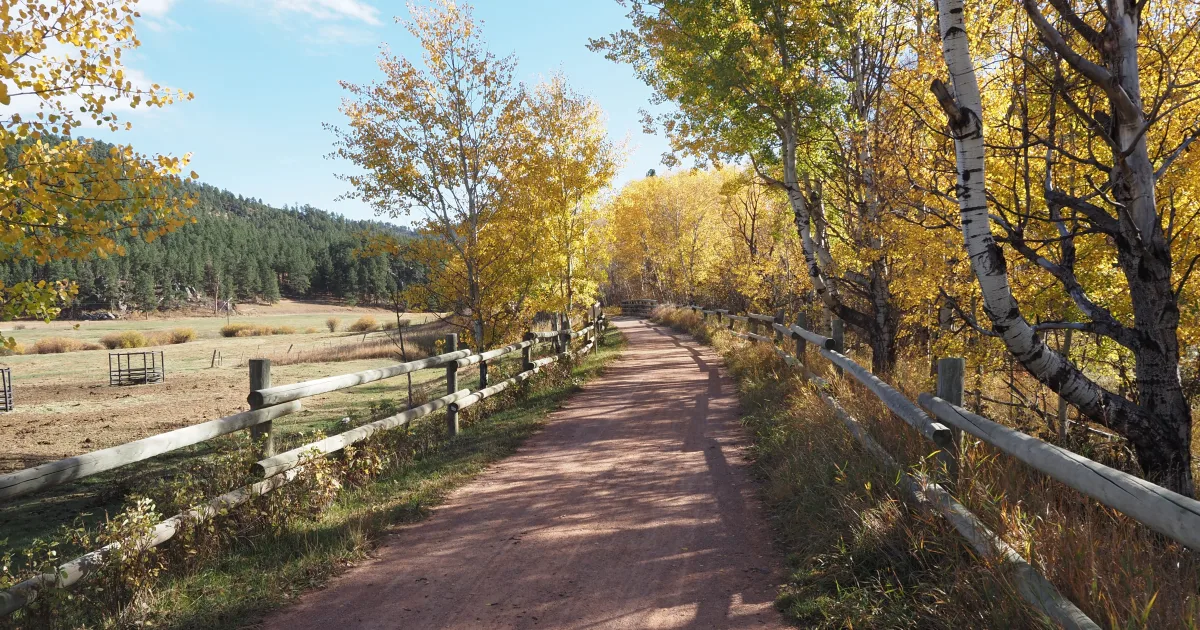 Mickelson Trail Segment