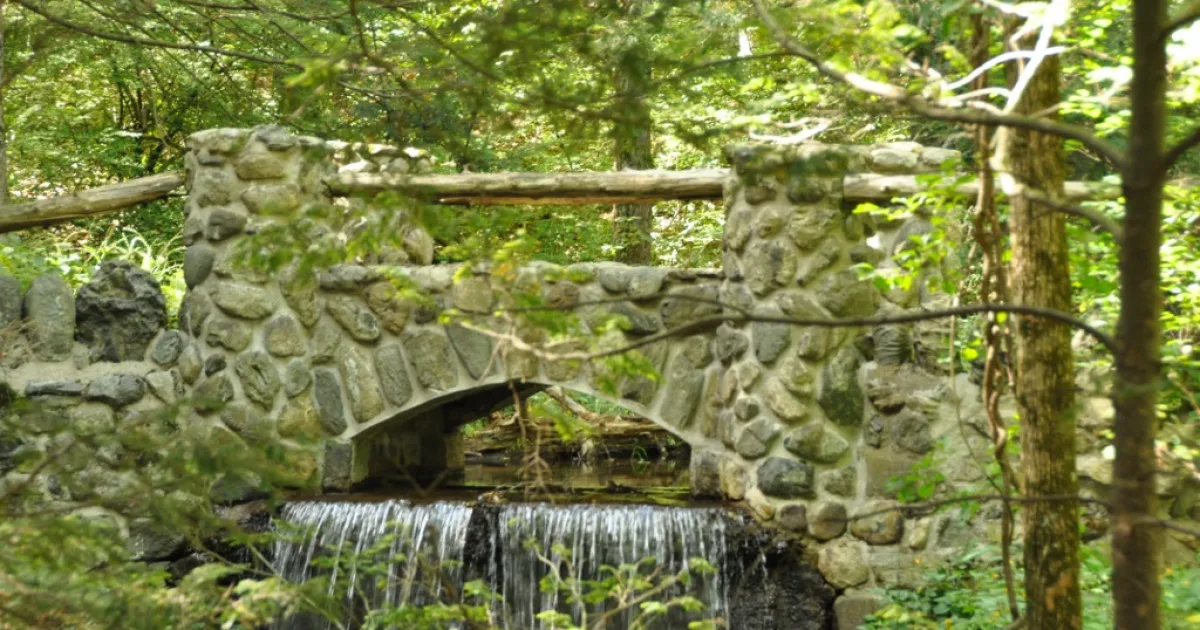 Middlesex Fells Reservation MTB — Medford, Massachusetts