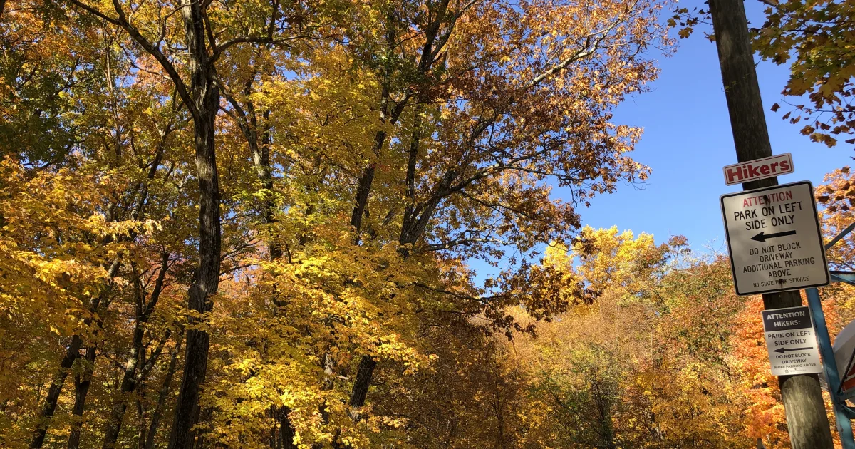 Milford State Park Cove Trail