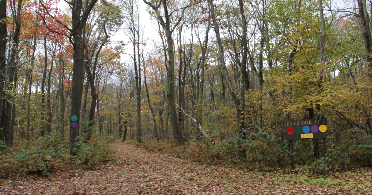 Mill Mountain Star Trail — Mill Mountain Park, VA