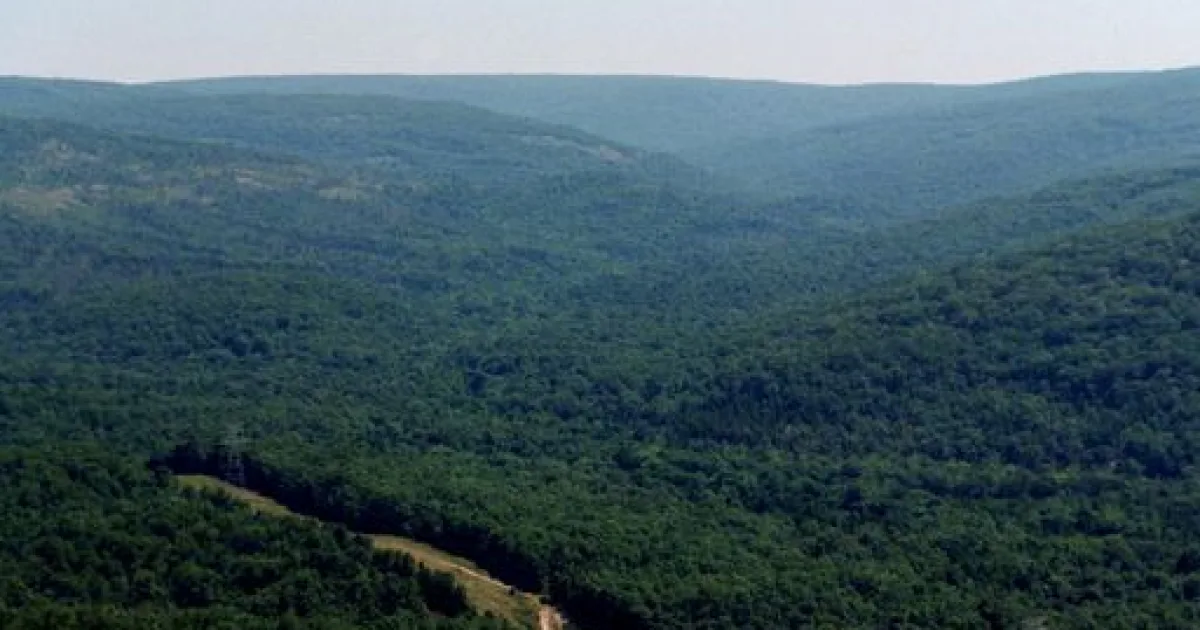 Mina Sauk Falls Loop