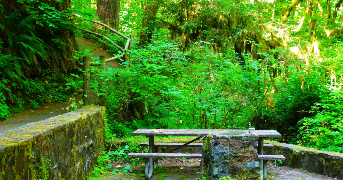 Mineral Springs Trail