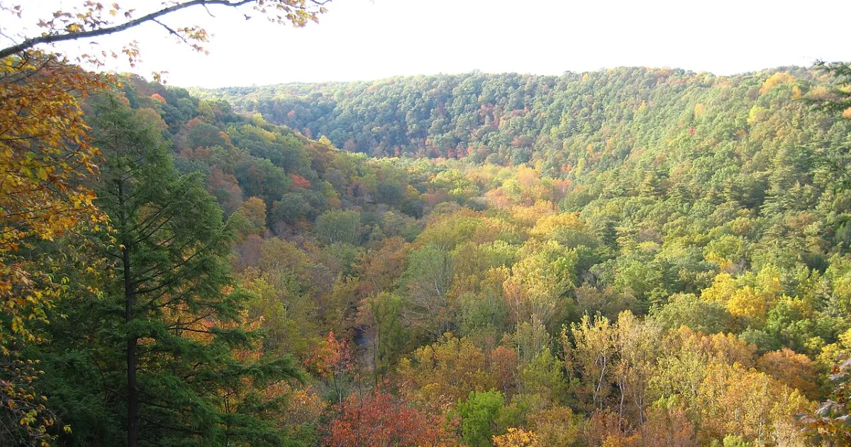 Mohican Gorge Trail