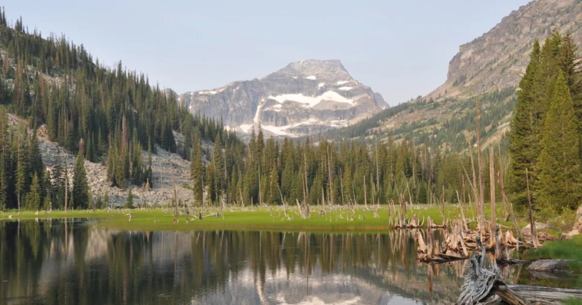 Moose Lake Trail Selway