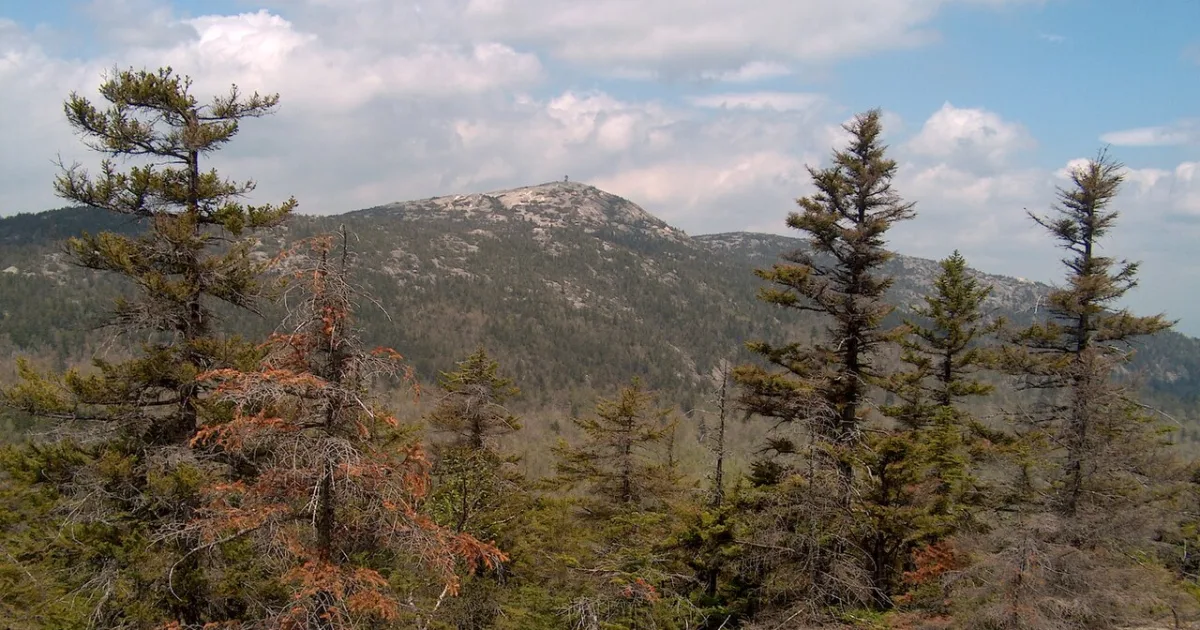 Mount Cardigan via West Ridge