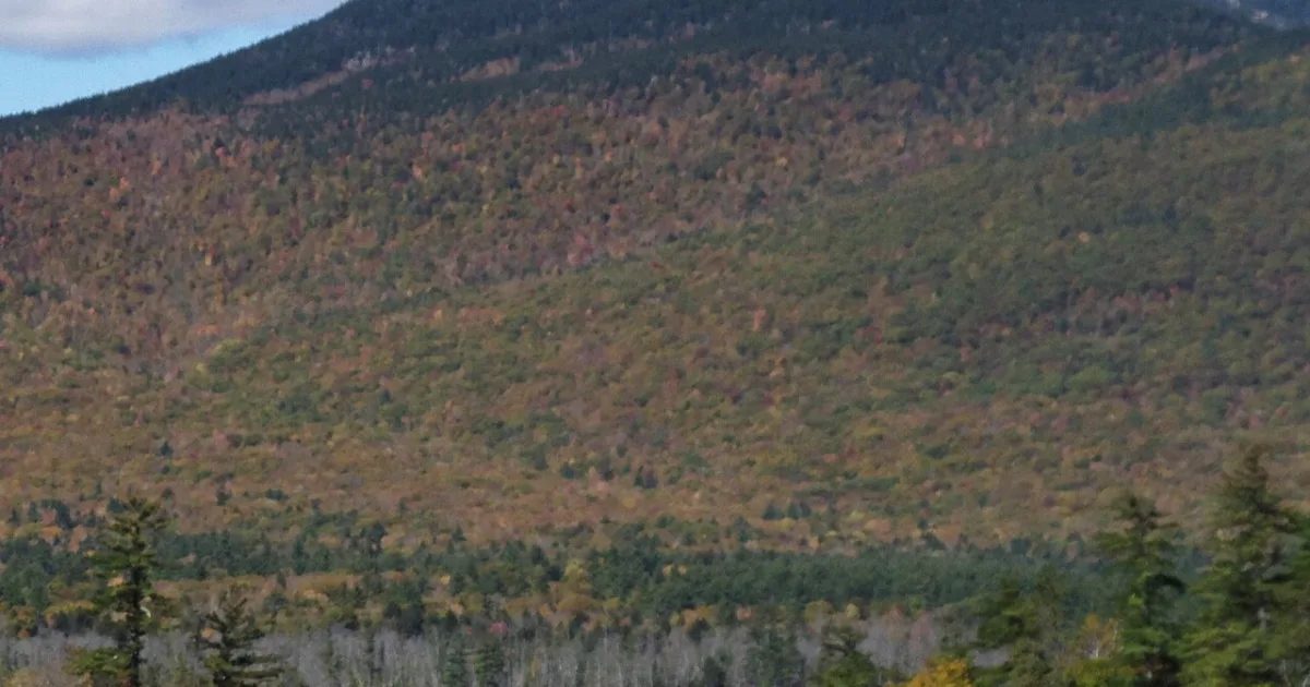 Mount Chocorua Loop