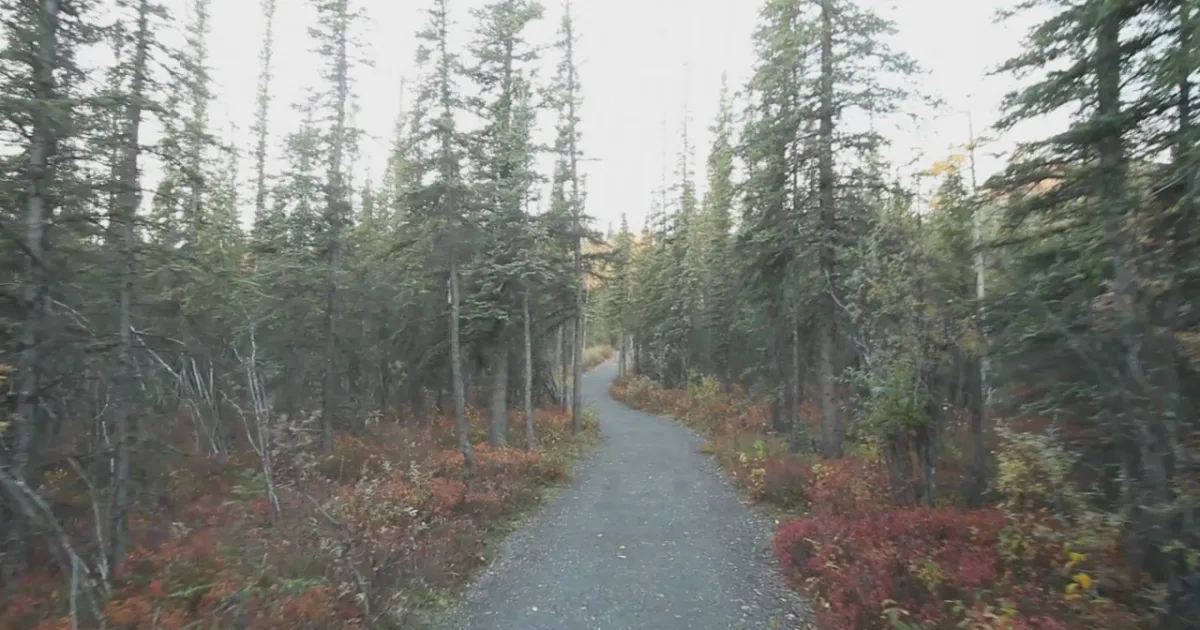 Mount Healy Overlook Trail