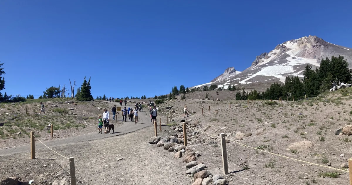 Mount Hood — Timberline Trail