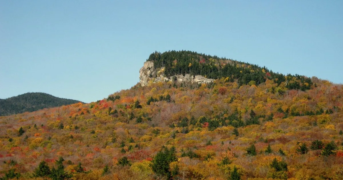 Mount Pemigewasset Trail