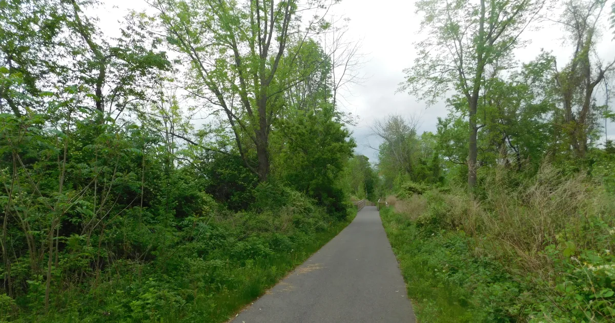 Mount Riga Trail