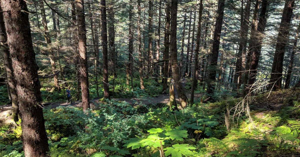 Mount Roberts Trail