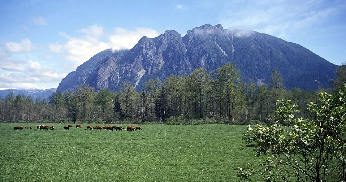 Mount Si Trail