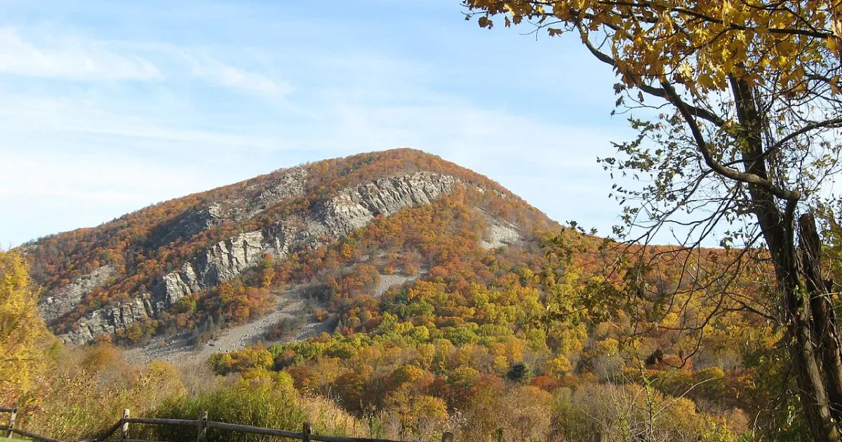 Mount Tammany Trail