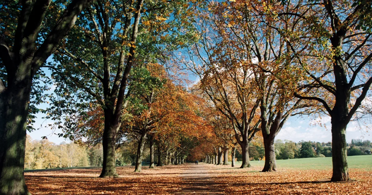Mount Tom State Reservation Loop — Northampton, Massachusetts