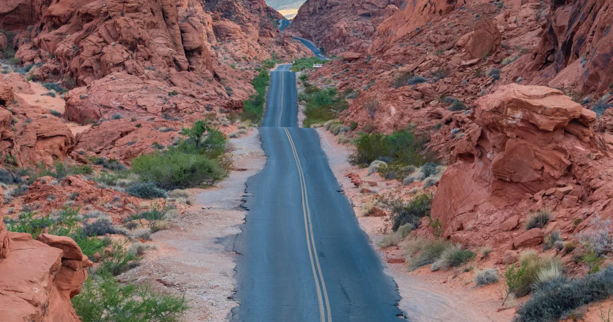 Mouse's Tank Trail