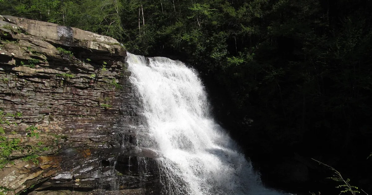 Muddy Creek Falls Trail