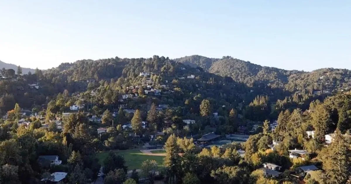 Muir Woods Bootjack Loop — Mill Valley, California