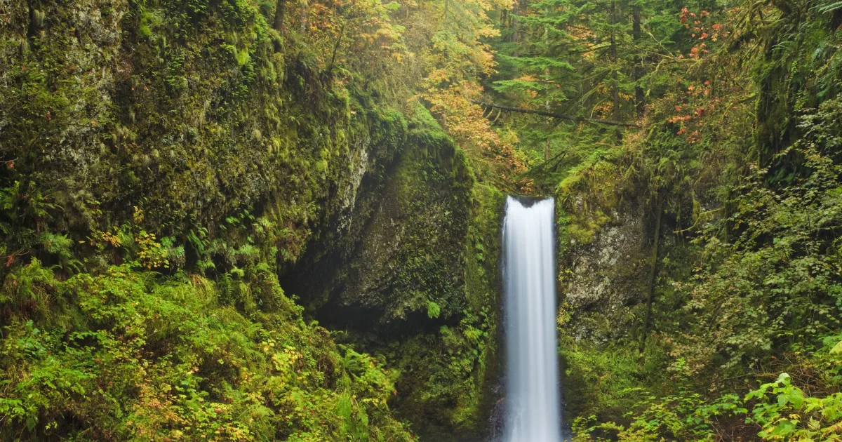 Multnomah Falls — Larch Mountain Trail