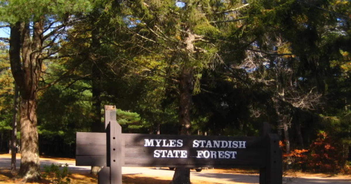 Myles Standish State Forest Trail