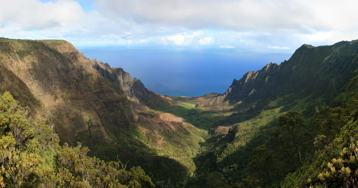 Na Pali Kona Forest Reserve