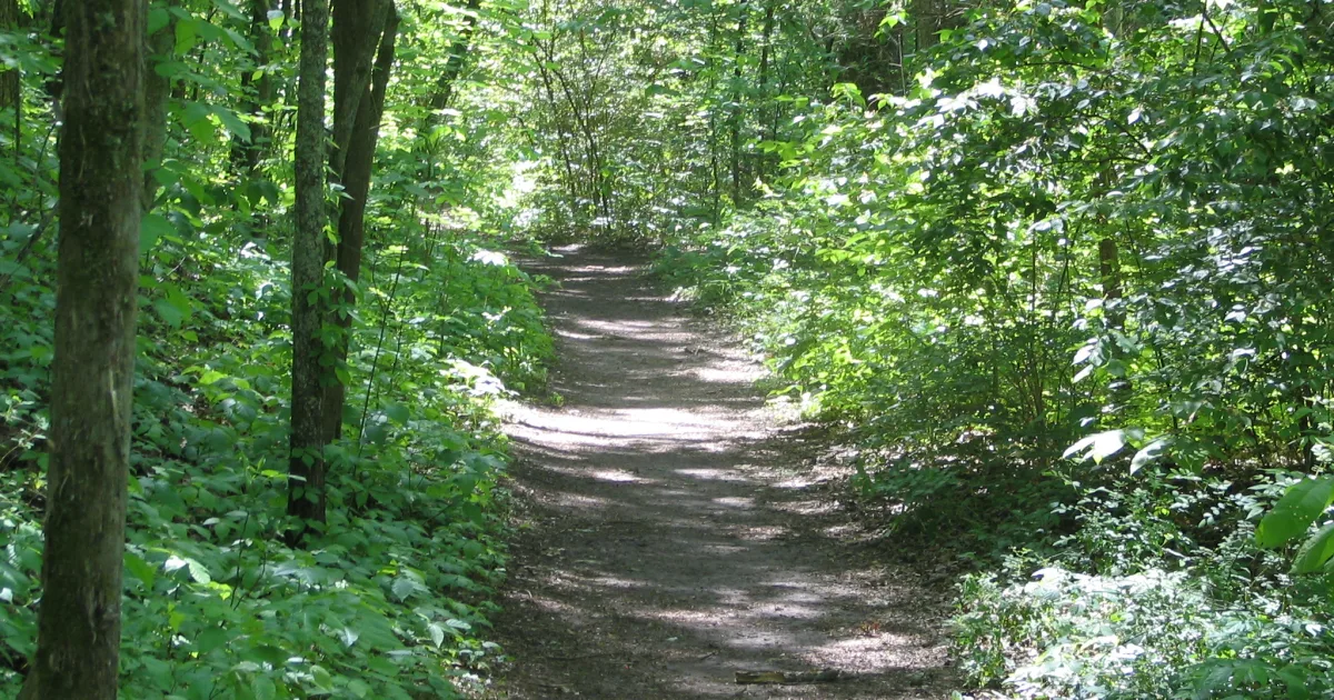Natchez Trace – TN Section — Natchez Trace Pkwy, TN
