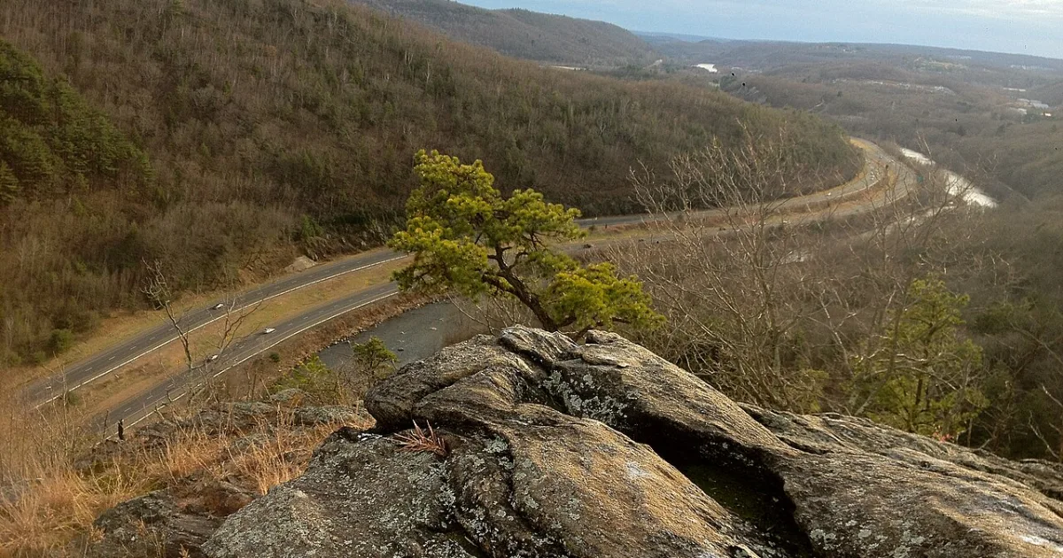 Naugatuck State Forest Trail