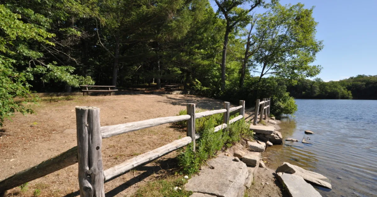 Nehantic State Forest Trail