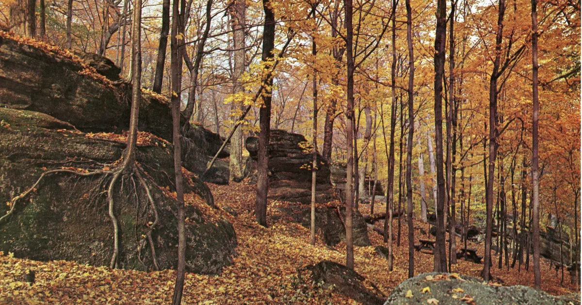Nelson-Kennedy Ledges Loop — Garrettsville, Ohio