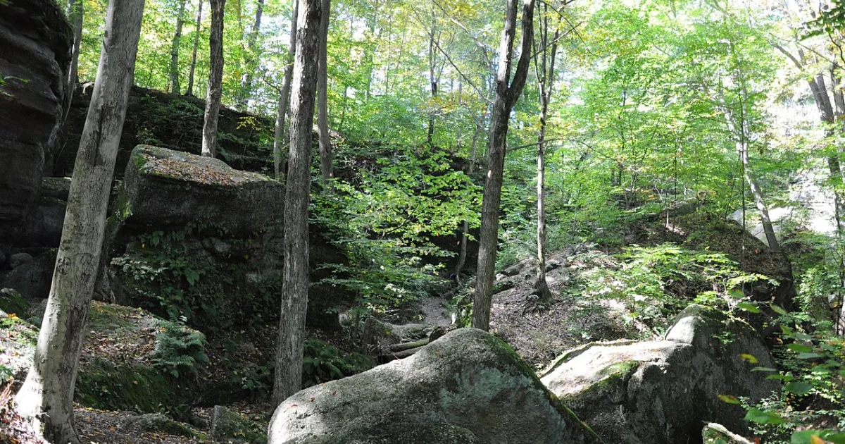 Nelson-Kennedy Ledges Trail