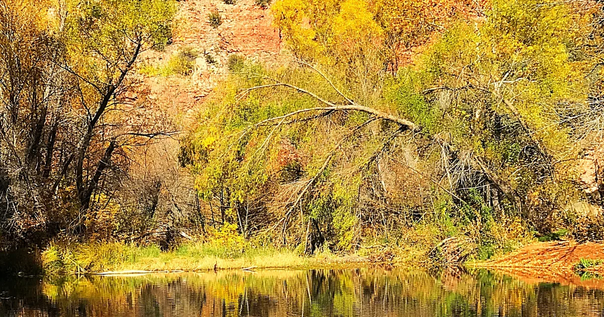 Neosho Wildlife Area Trail