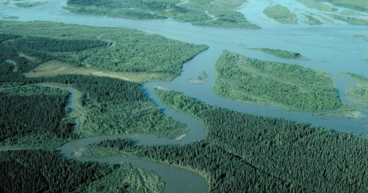Noatak River Trail