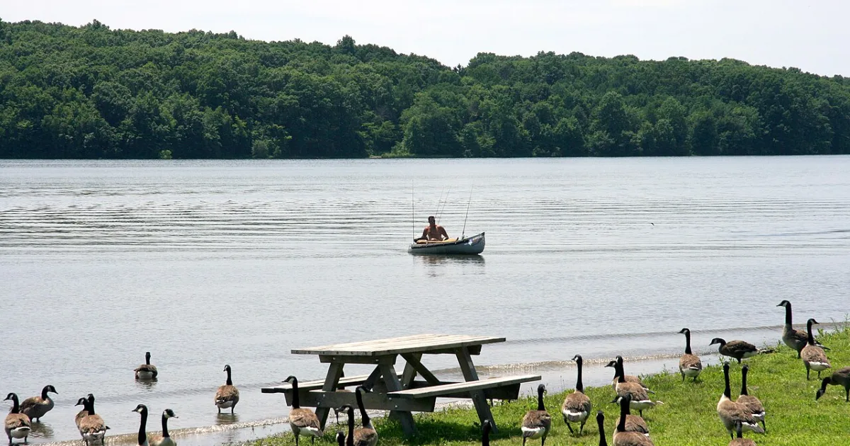 Nockamixon State Park Loop