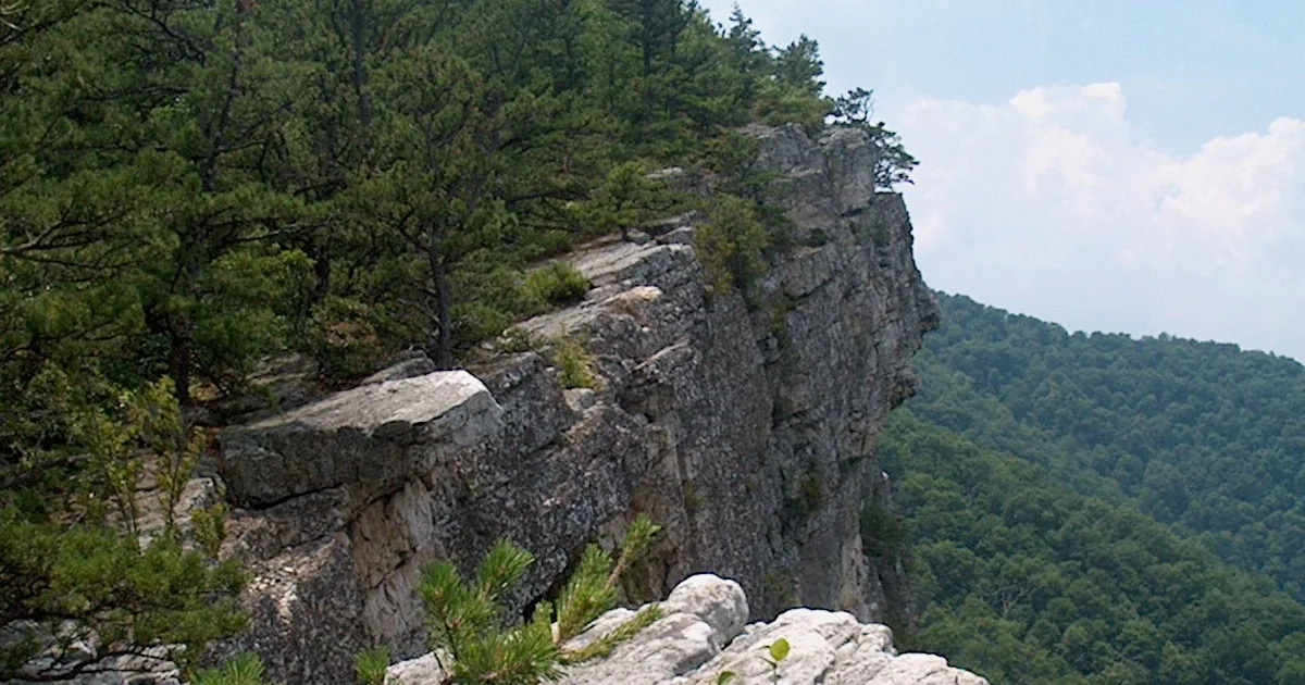 North Fork Mountain Trail
