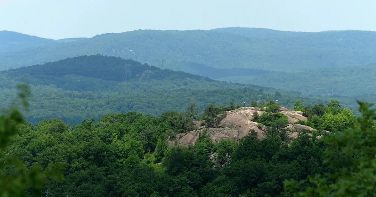 Norvin Green State Forest Trail