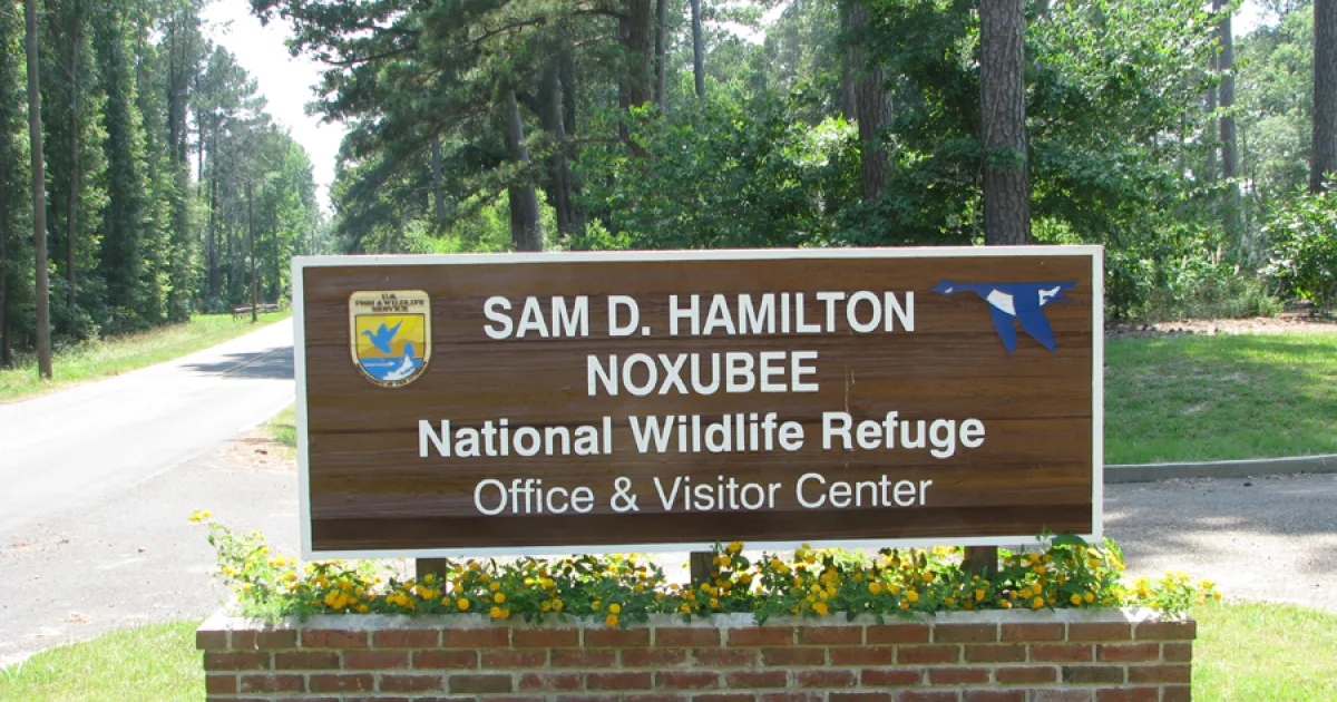 Noxubee National Wildlife Refuge Trail