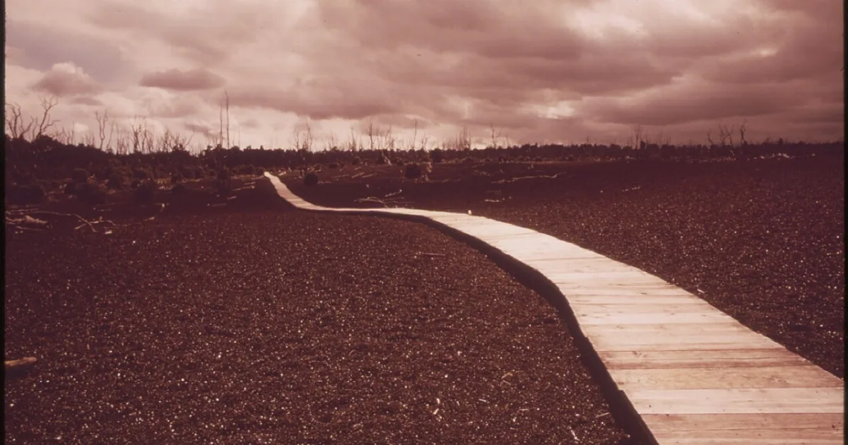 Devastation Trail