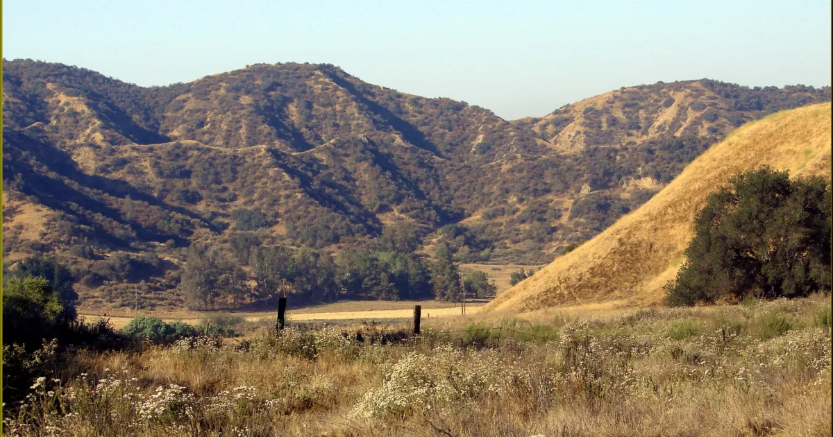Gulley Trail