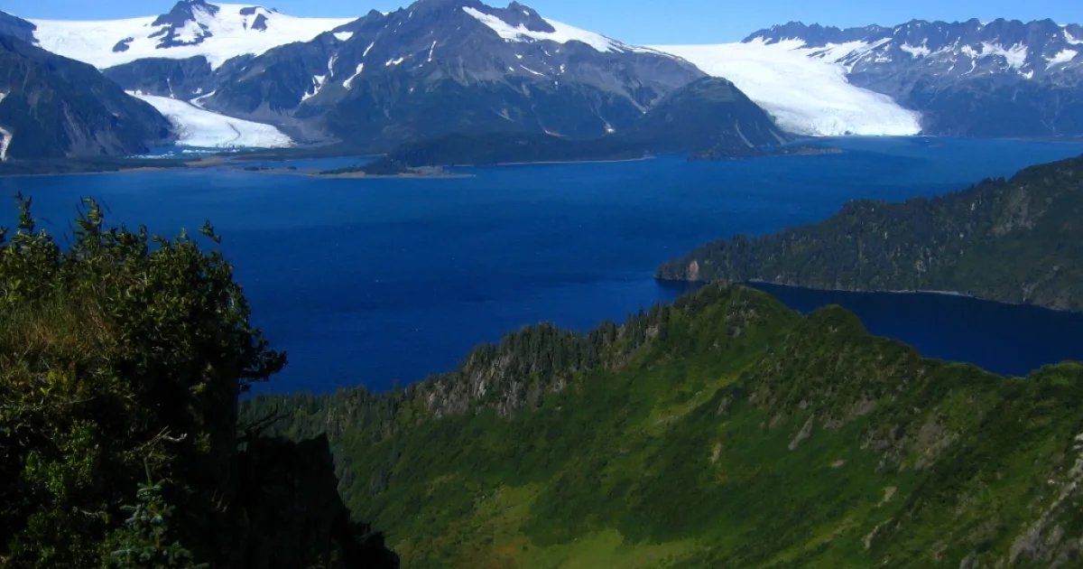 Coastal Glacier Viewpoint