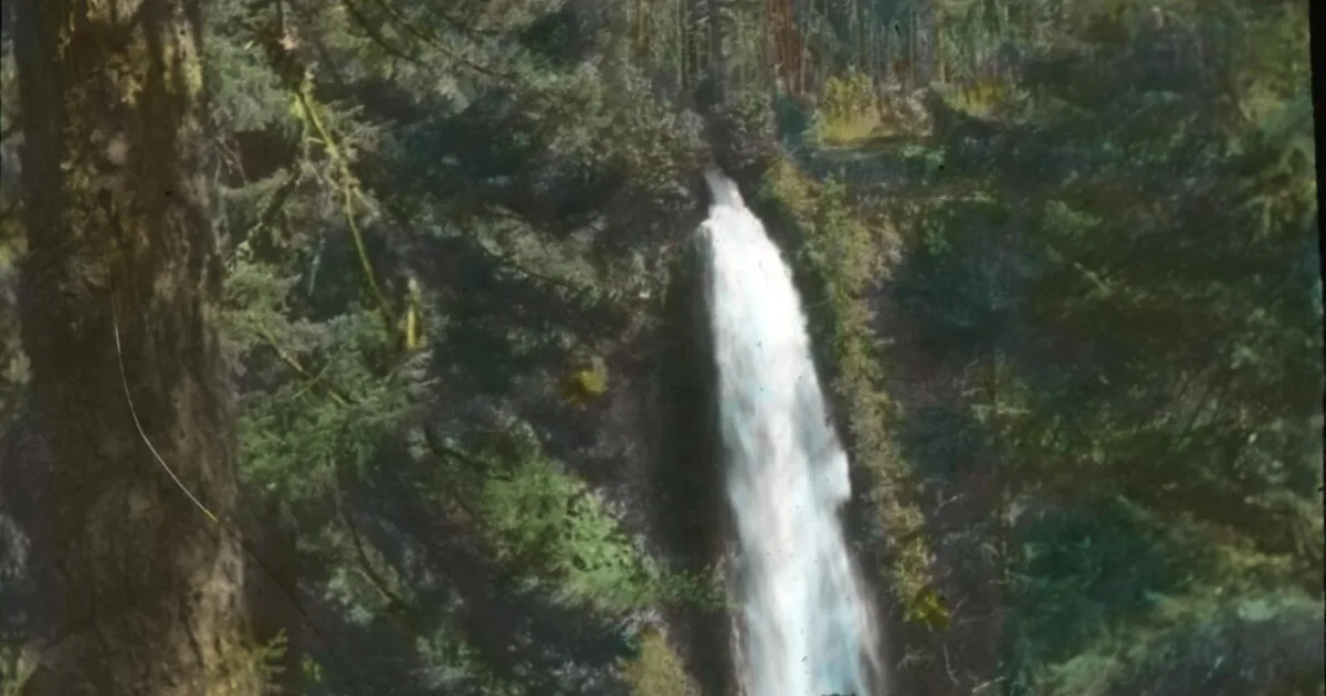 Mill Creek Falls Trail