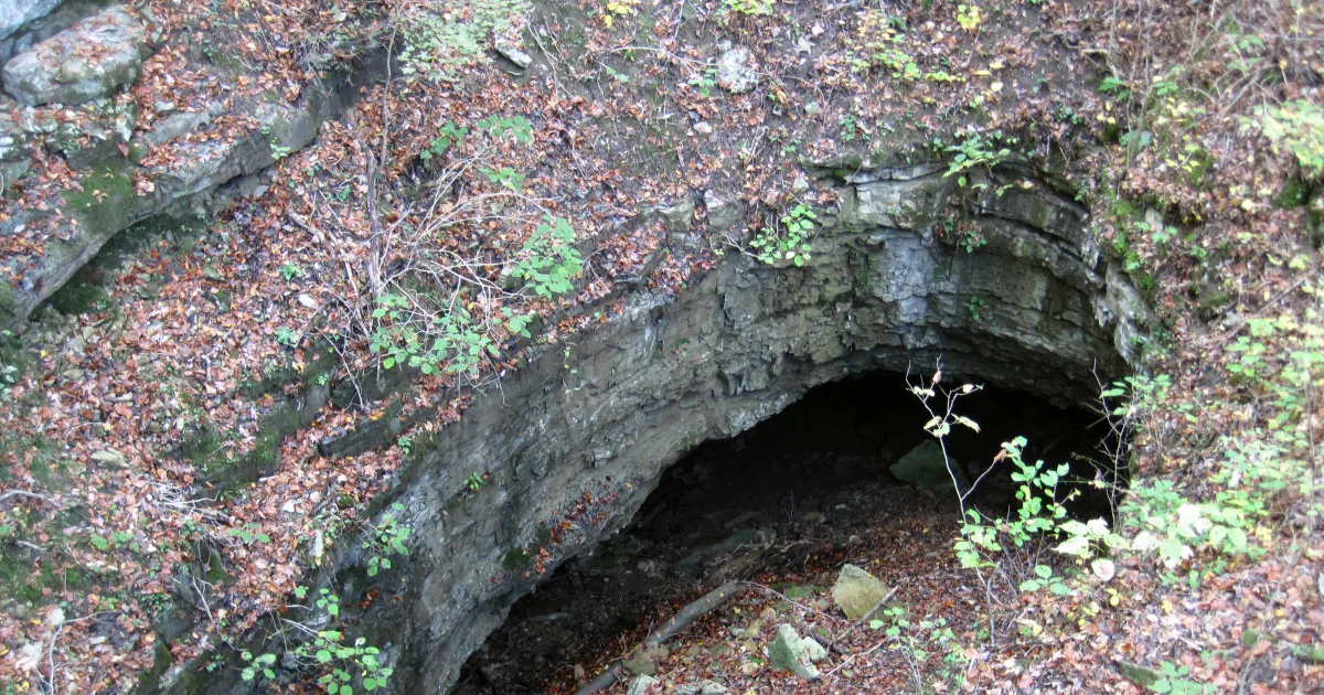Collie Ridge Trail