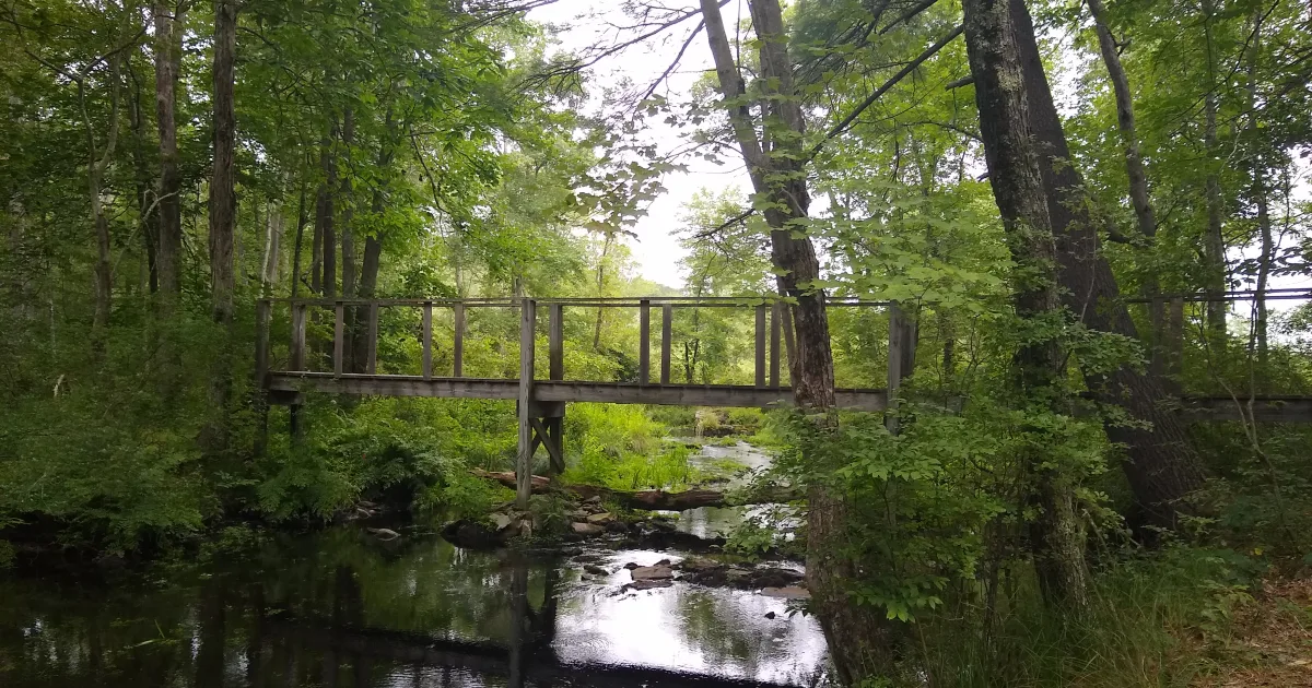 Thunder Creek Trail