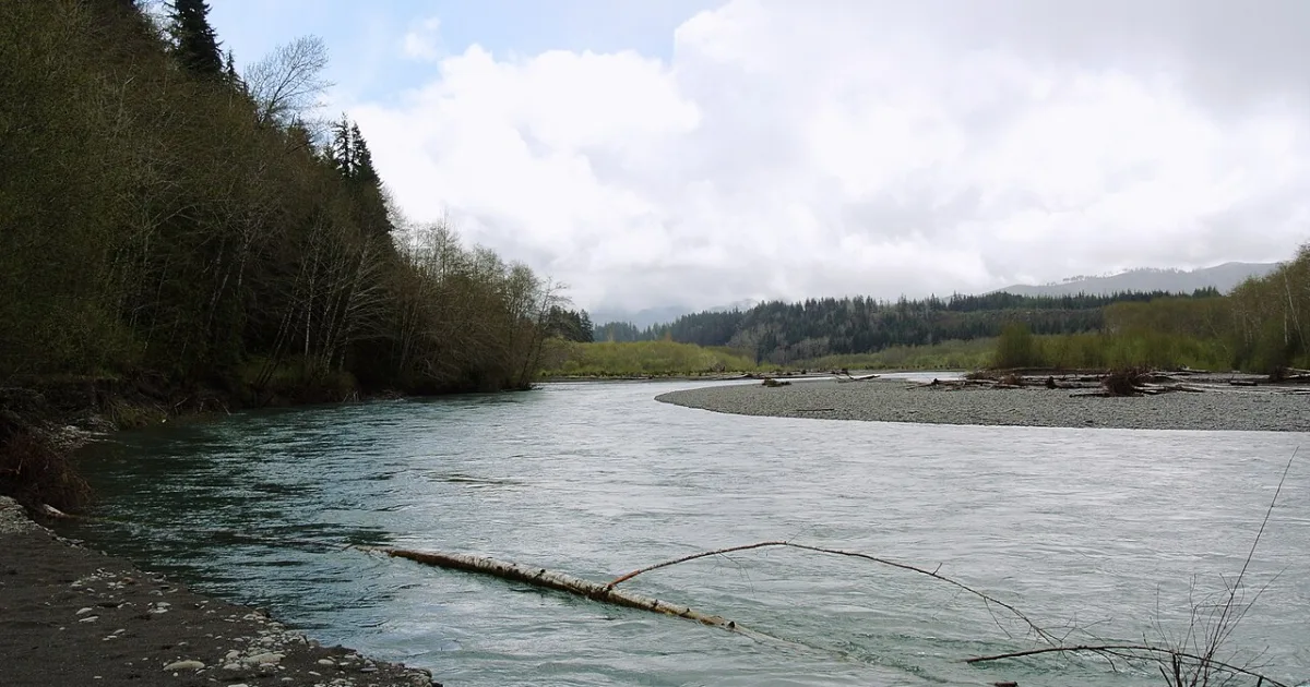 Hoh River Trail