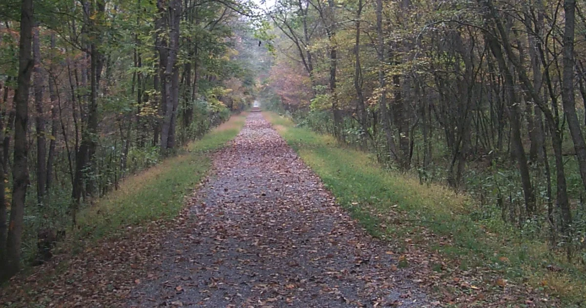Long Logs Trail