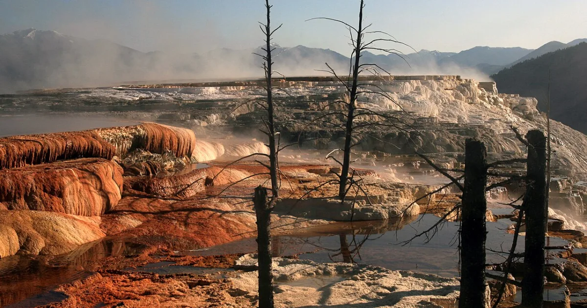Mammoth Hot Springs Terraces Walk