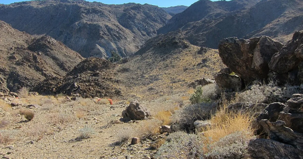 Fortynine Palms Oasis Trail