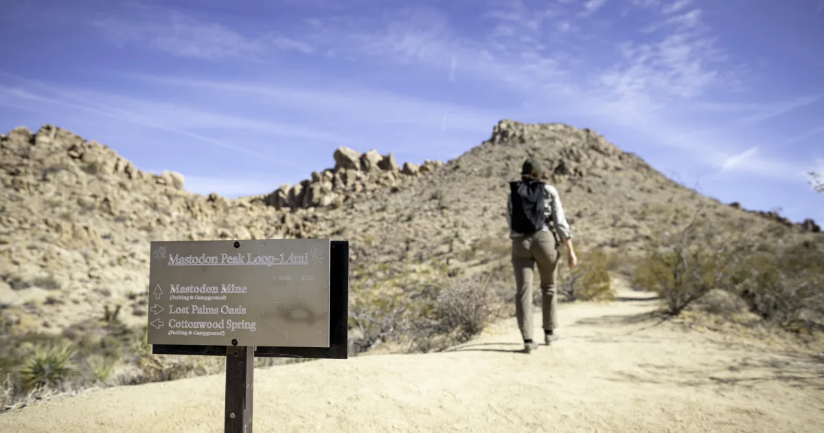 Mastodon Peak Loop