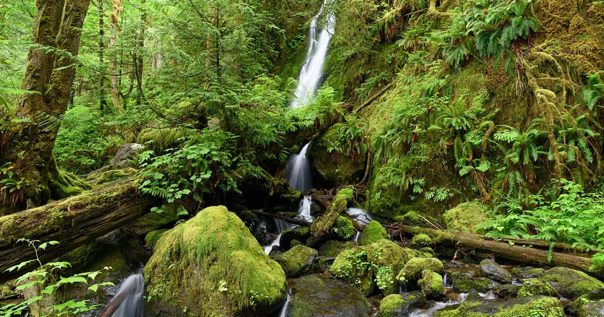 Enchanted Valley Trail